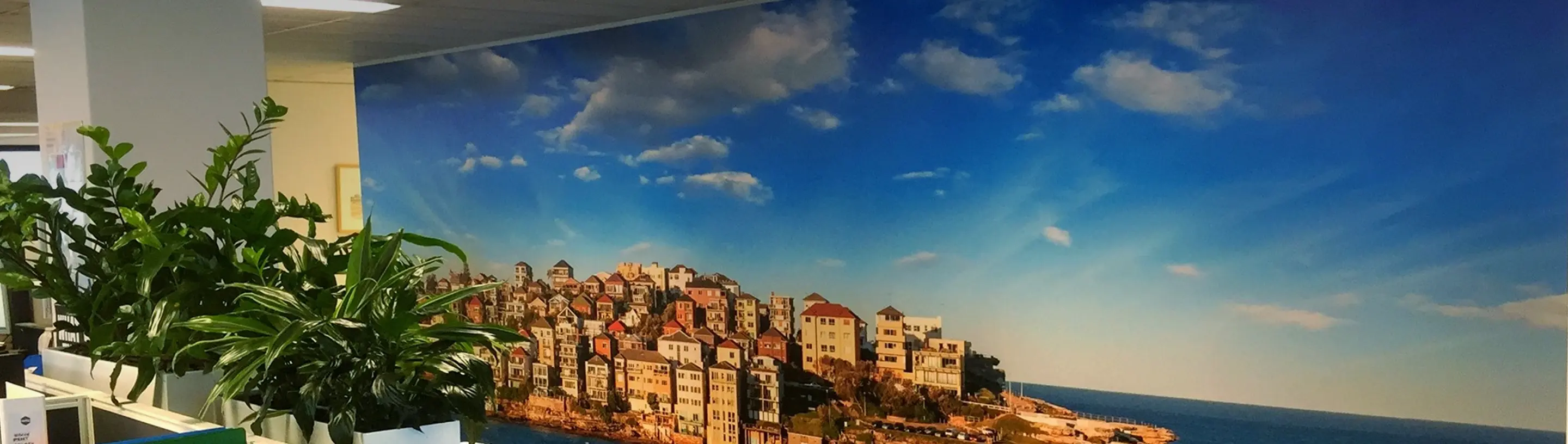 Commercial wallpaper and brand wall murals for Australian businesses