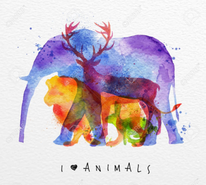 Color animals ,elephant, deer, lion, rabbit, drawing overprint