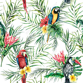 Plant, parrot, Toucan - misterwallpaper.com.au