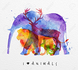 Color animals ,elephant, deer, lion, rabbit, drawing overprint - misterwallpaper.com.au