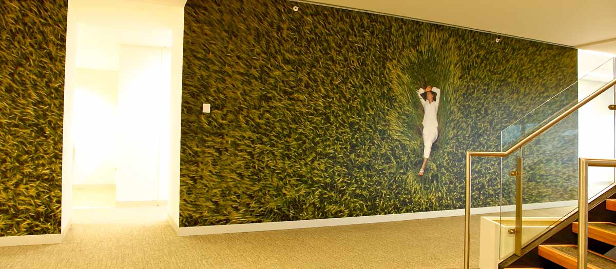 Custom Removable Wallpaper Australia Make Your Own Wallpaper Misterwallpaper Com Au