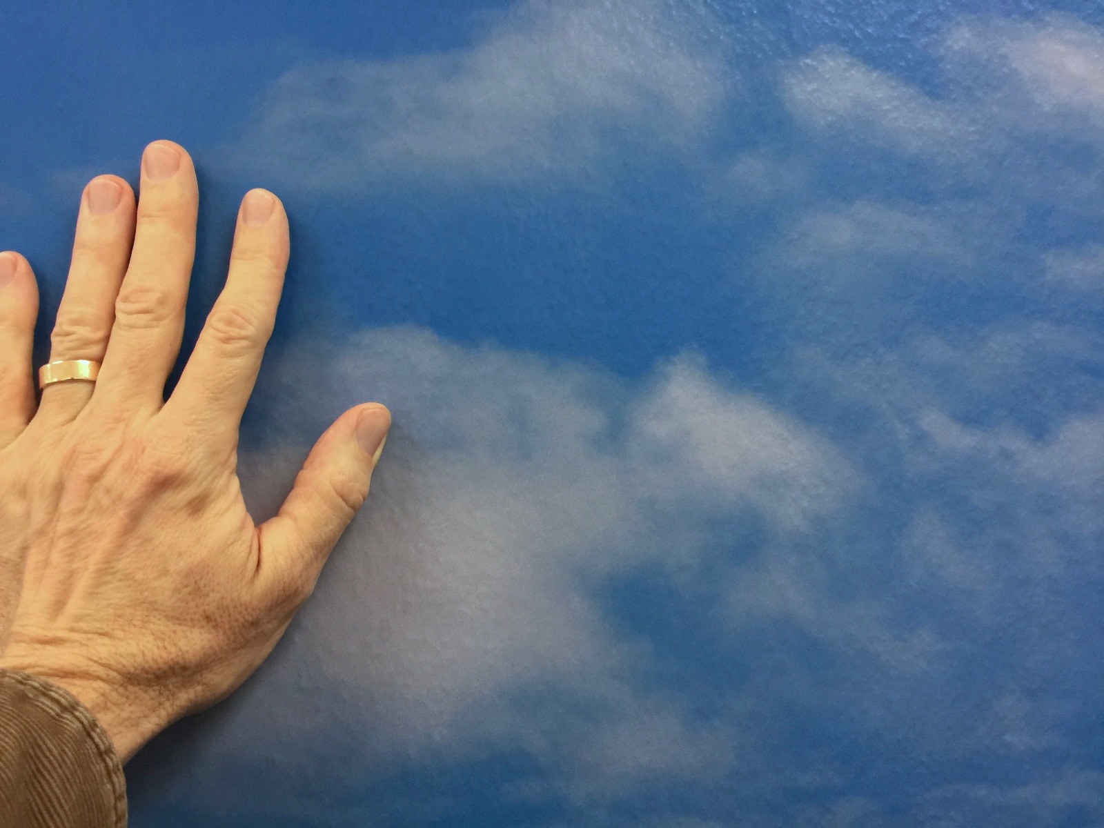 detail from 12 m wide cloud print on wallpapre